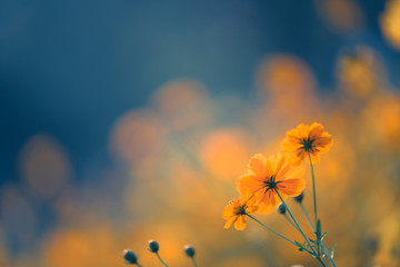 做淘宝店用什么配置电脑比较适合