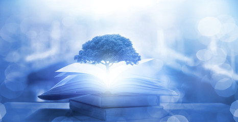 中国的电脑可以带到迪拜吗