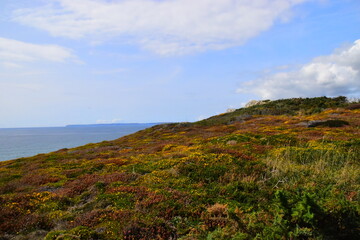 dell笔记本电脑电池显示正在充电但是电量一直不变
