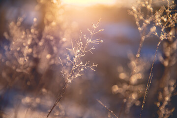 笔记本并不是很热的情况下自动断电