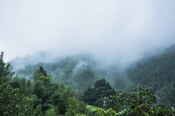 dell笔记本电脑电池显示正在充电但是电量一直不变